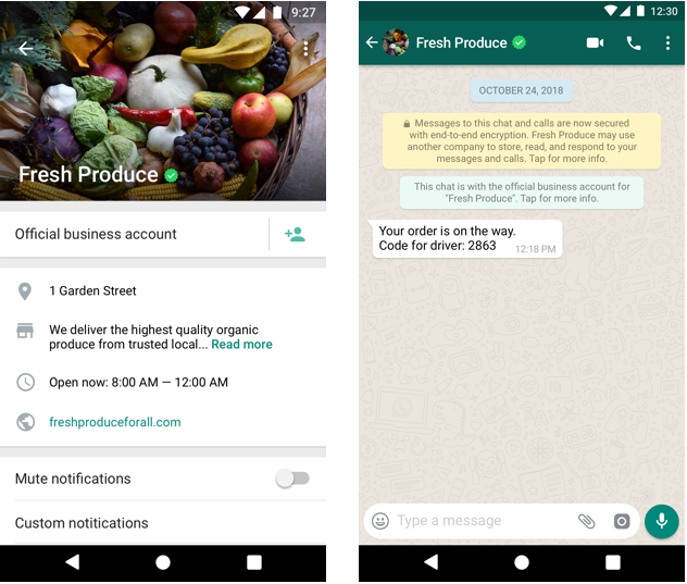 How to increase your chances of getting the WhatsApp Green Tick Verification Example of Official Business Account on WhatsApp